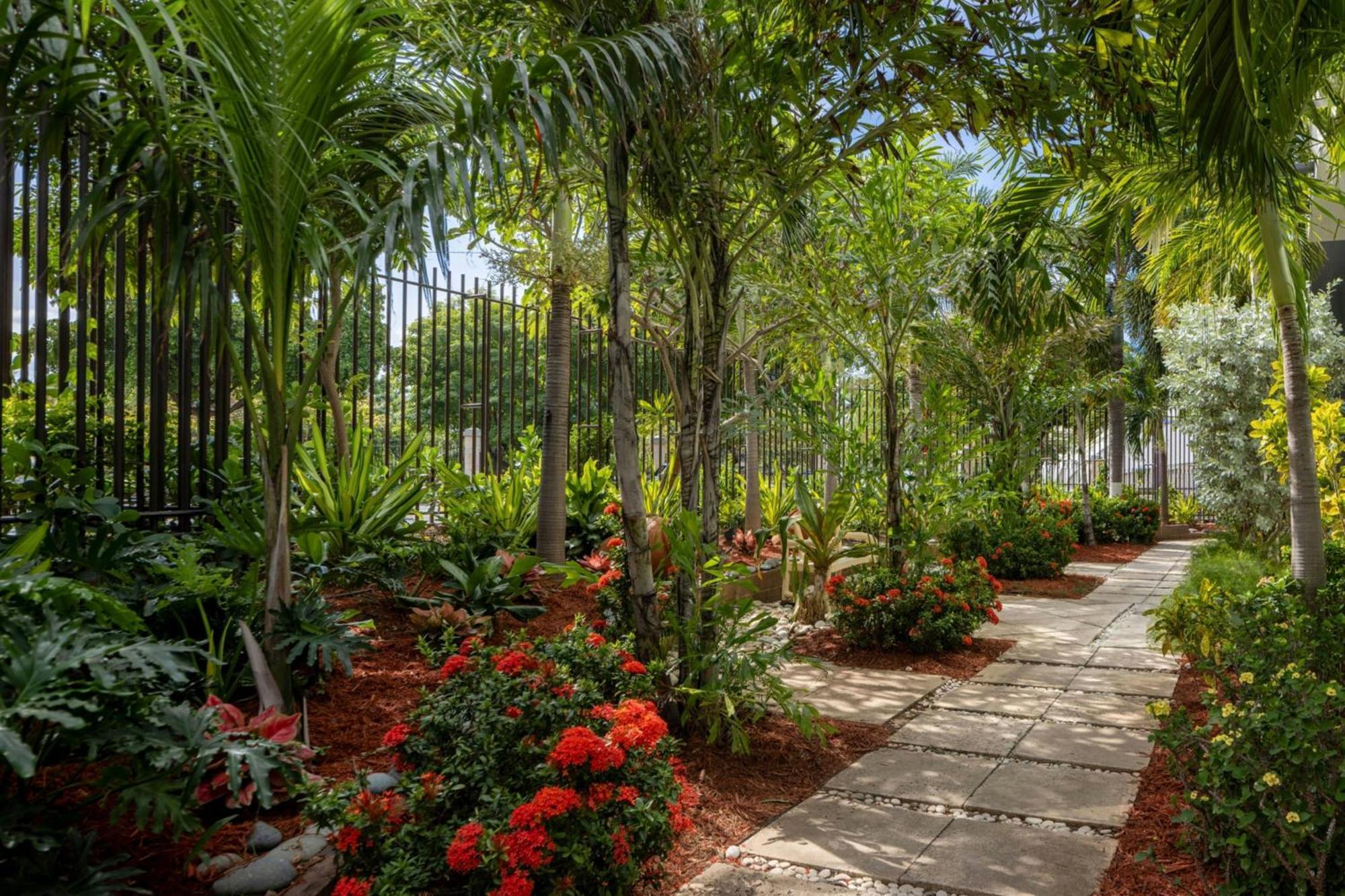 Courtyard By Marriott Kingston, Jamaica Hotell Exteriör bild